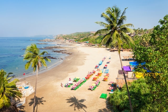 मोरजिम बीच गोवा में विदेशियों का पसंदीदा स्थल – Morjim Beach A Foreigner Tourist Destination In Hindi