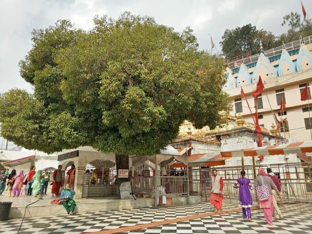 ज्वाला देवी मंदिर जाने के लिए सबसे अच्छा समय - Best Time To Visit Jwala Devi Kangra In Hindi