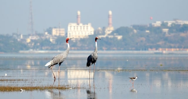 निचली झील भोपाल - Lower Lake Bhopal In Hindi
