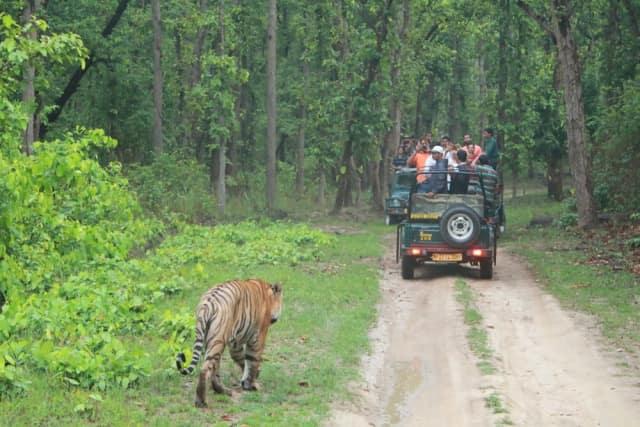 बांधवगढ़ राष्ट्रीय उद्यान मध्य प्रदेश - Bandhavgarh National Park In Hindi