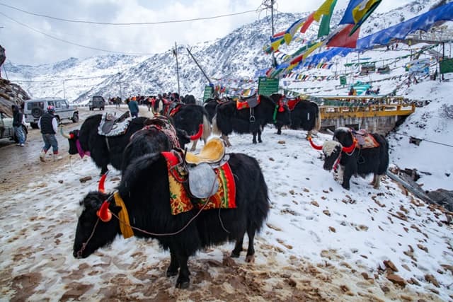 सिक्किम की यात्रा करने का सबसे अच्छा समय- Best Time To Visit Sikkim In Hindi