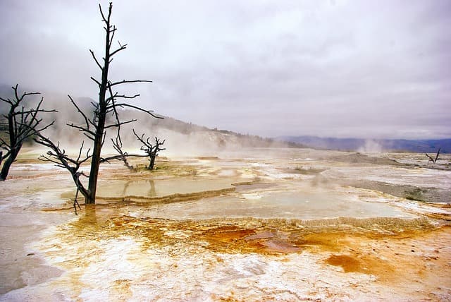 यूनेस्को विश्व धरोहर स्थल येलोस्टोन राष्ट्रीय उद्यान- Yellowstone National Park Unesco Visvh Dharohar Sthal In Hindi