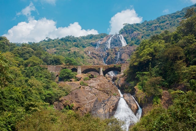 भारत में घूमने की जगह दूधसागर फाल्स - Dudhsagar Falls Tourist Places In India In Hindi