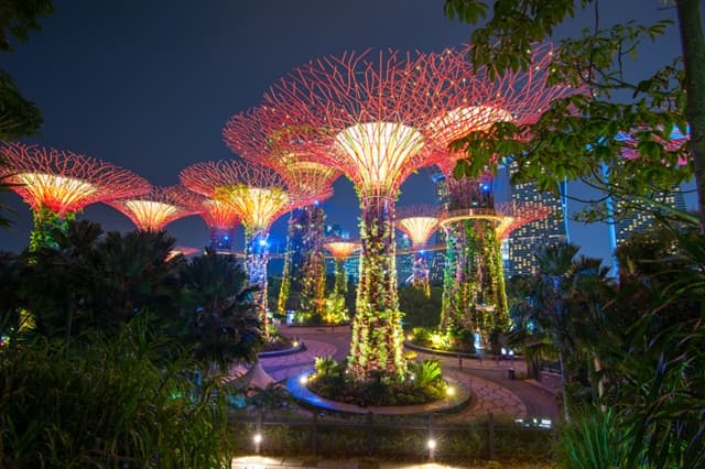 सिंगापुर में घूमने की जगह बॉटनिक गार्डेन - Botanic Gardens Singapore Ka Parytan Sthal In Hindi