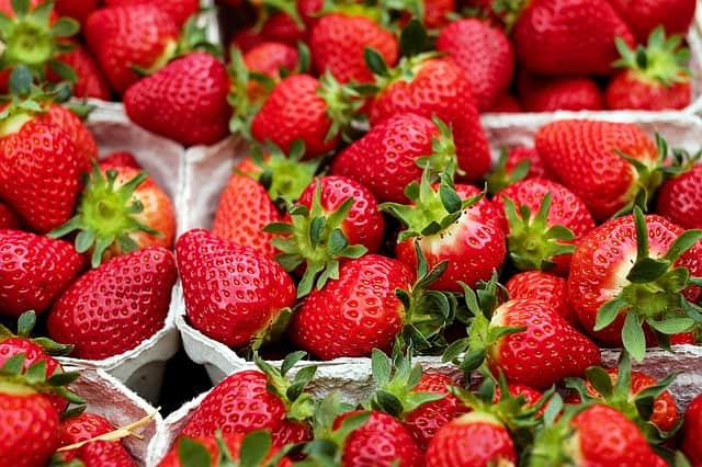महाबलेश्वर में स्ट्रॉबेरी महोत्सव - Shilpa Strawberry Garden In Hindi