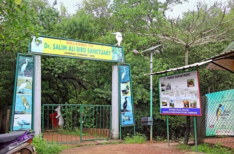 सलीम अली पक्षी अभ्यारण - Salim Ali Bird Sanctuary Information In Hindi