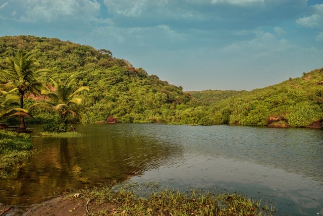 अरम्बोल बीच पर मीठे पानी की झील - Arambol Sweet Water Lake Information In Hindi