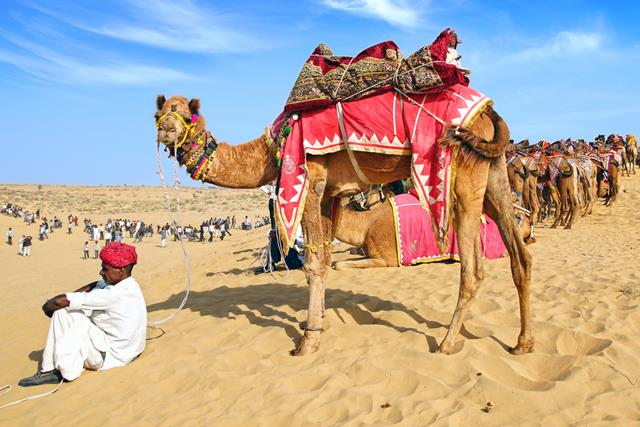बीकानेर का लोकप्रिय महोत्सव अंतर्राष्ट्रीय ऊंट महोत्सव - International Camel Festival In Bikaner In Hindi
