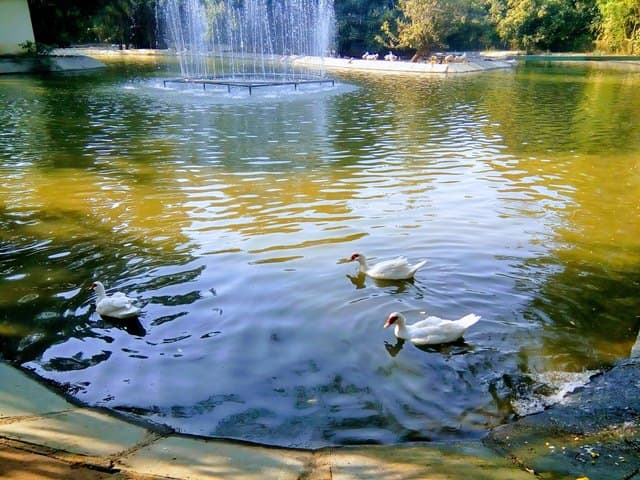 सरथाना नेचर पार्क टूरिस्ट प्लेस इन सूरत - Sarthana Nature Park Tourist Place In Surat In Hindi