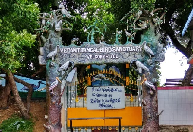 तमिलनाडु के वेदांतंगल दर्शनीय स्थल - Tamil Nadu Ke Vedanthangal Darshaniya Sthan In Hindi