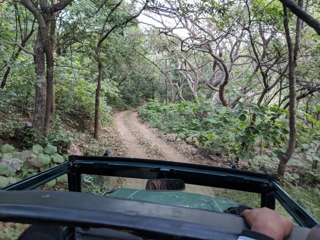 कुंभलगढ़ वाइल्डलाइफ सैंक्चुअरी में जीप सफारी - Jeep Safari At Kumbhalgarh Wildlife Sanctuary In Hindi