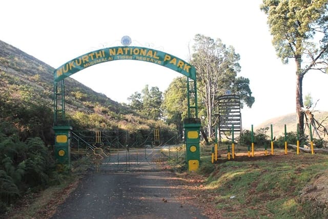 मुकुर्थी नेशनल पार्क ऊटी में घुमने की जगह - Mukurthi National Park Ooty Attraction In Hindi