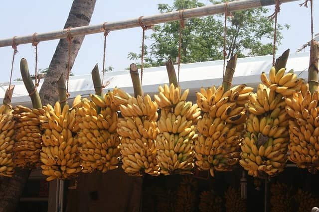 मदुरई में फेमस बनाना बाजार - Madurai Ka Mashoor Banana Market In Hindi