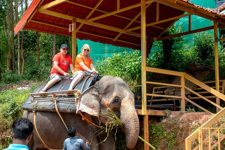 मुन्नार में हाथी की सवारी के लिए एलिफेंट अराइवल स्पॉट 