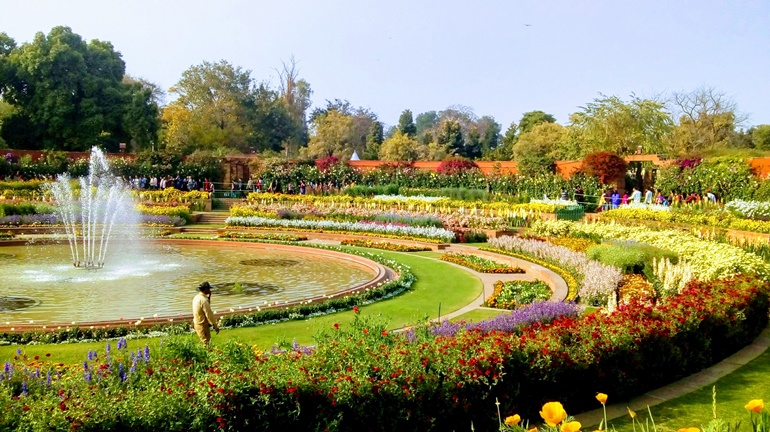  मुगल गार्डन दिल्ली की यात्रा करने का सबसे अच्छा समय 