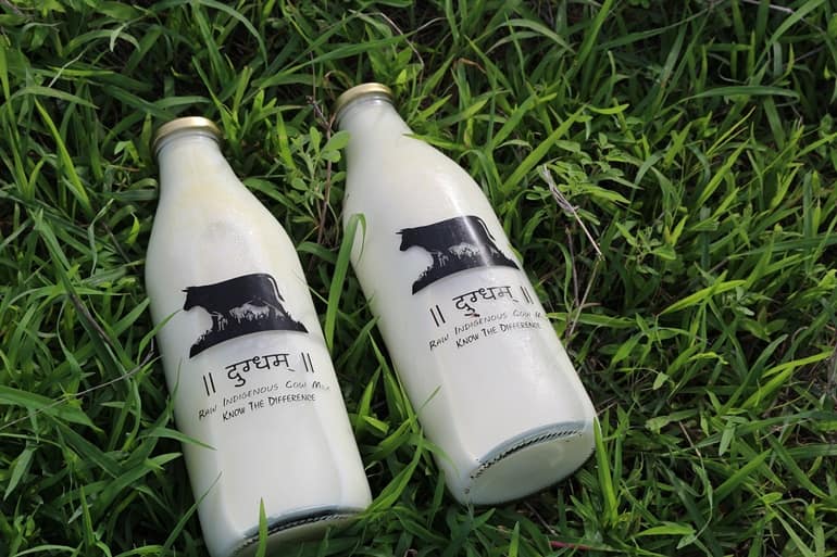 दूध उत्पादक- भारत