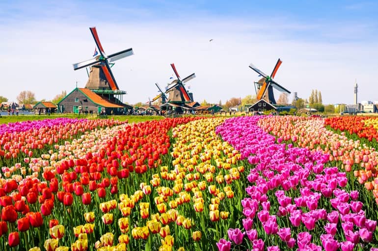नीदरलैंड घूमने की जानकारी और इसके प्रमुख पर्यटन स्थल – Netherlands In Hindi