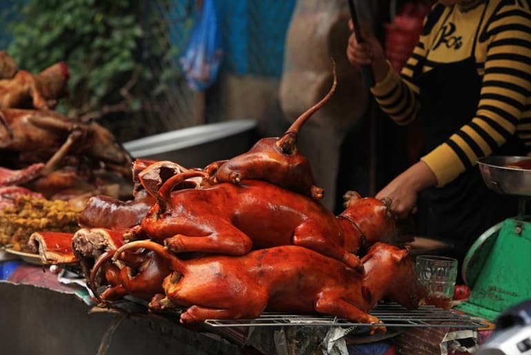 पूर्वोत्तर भारत के नागालैंड में खाये जाने वाली अजीब फ़ूड “कुत्ते का मांस” Dog Meat