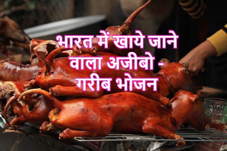 भारत में खाये जाने वाला अजीबो-गरीब भोजन - Top 10 Weird Indian Food In Hindi