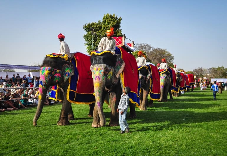 जयपुर एलीफेंट फेस्टिवल - Jaipur Elephant Festival In Hindi