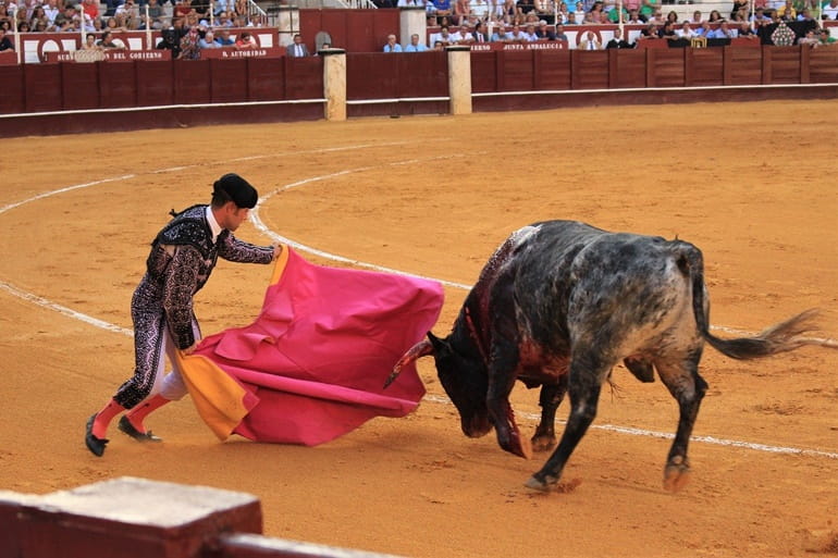 स्पेन का राष्ट्रीय खेल