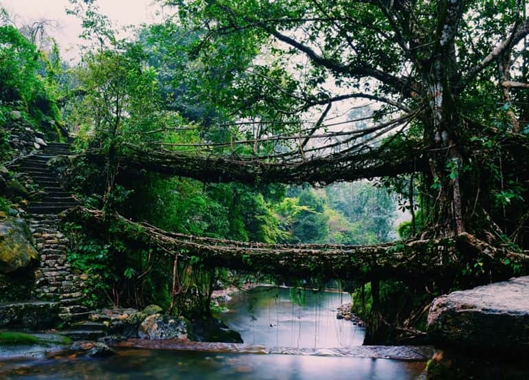 Cherrapunji Ka Aakarshan Sthal Double Decker Living Root Bridge In Hindi