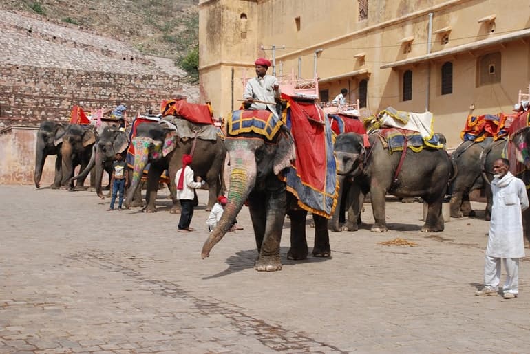 हाथी की सवारी