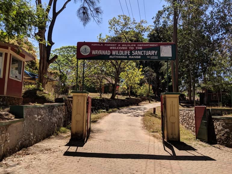 वायनाड का दर्शनीय स्थल मुथांगा वन्यजीव अभयारण्य - Muthanga Wildlife Sanctuary Wayanad Ka Darshaniya Sthal In Hindi