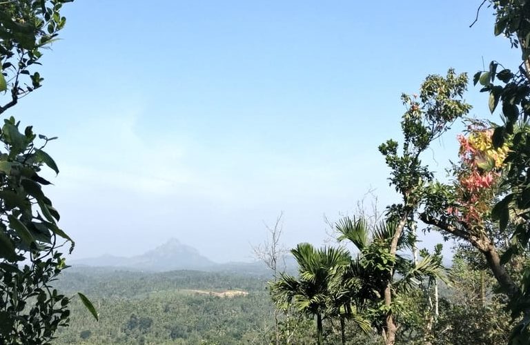 वायनाड में परिवार के साथ घूमने की शानदार जगह नीलीमाला व्यूपॉइंट - Neelimala View Point Best Place To Visit With Family In Wayanad In Hindi
