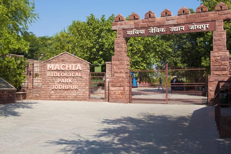 जोधपुर के माचिया जैविक उद्यान घूमने की जानकारी - Machiya Park In Hindi