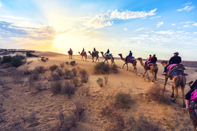 कैमल सफारी - Camel Safari In Hindi