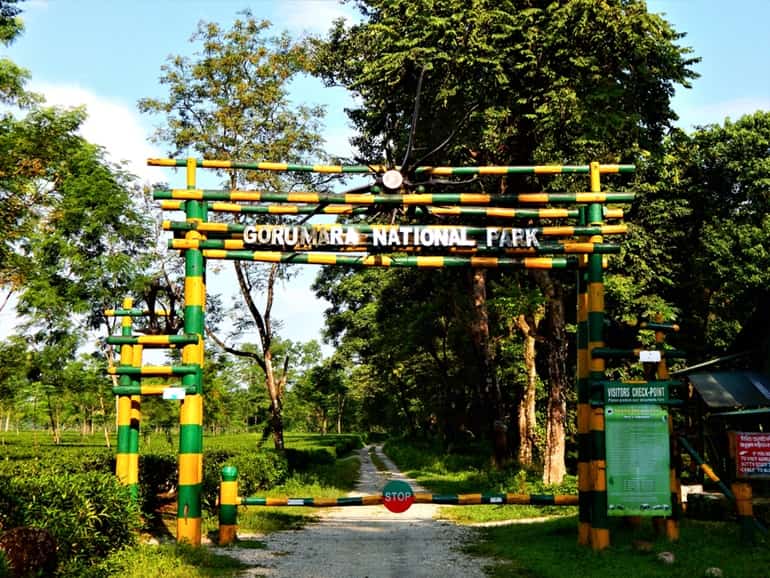 New Jalpaiguri Ke Prasidh Paryatan Sthal Gorumara National Park In Hindi