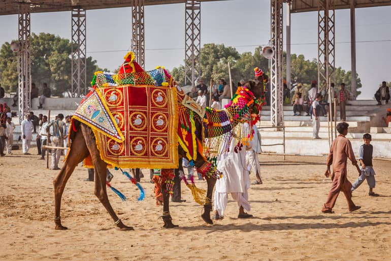 कैमल फेस्टिवल - Camel Festival In Hindi  