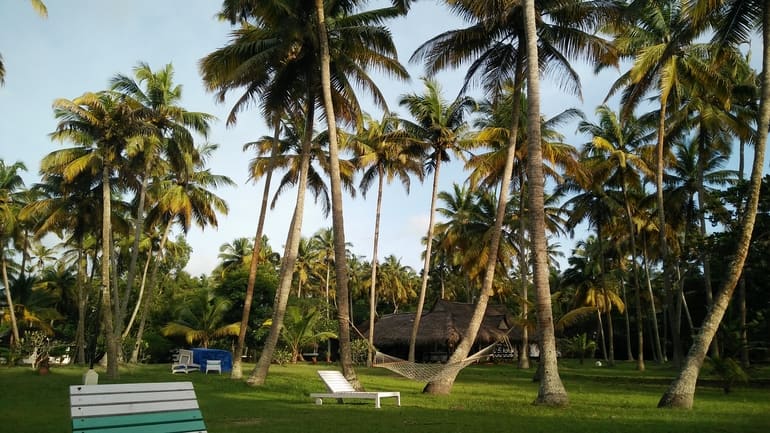 मारारी बीच रिज़ॉर्ट - Marari Beach Resort In Hindi