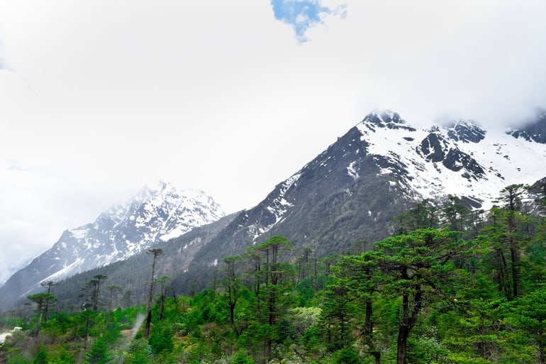 युमथांग घाटी - Yumthang Valley In Hindi