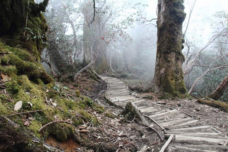 कंचनजंगा राष्ट्रीय उद्यान की पूरी जानकारी - Kanchenjunga National Park In Hindi