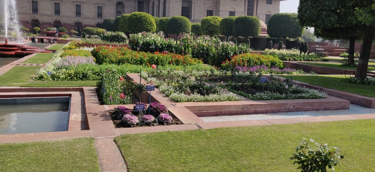 मुगल गार्डन दिल्ली - Mughal Garden Delhi