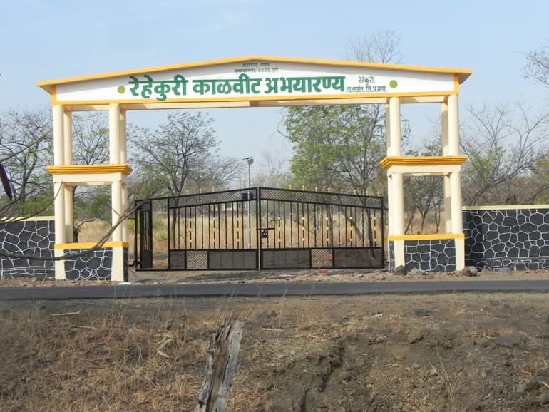 रेहेखुरी ब्लैकबक अभयारण्य - Rehekuri Blackbuck Sanctuary In Hindi