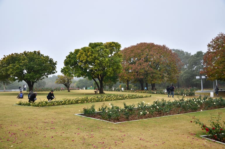 रोज गार्डन चंडीगढ़- Rose Garden In Hindi