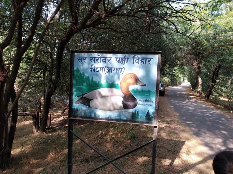 सोर सरोवर पक्षी अभयारण्य – Soor Sarovar Bird Sanctuary In Hindi