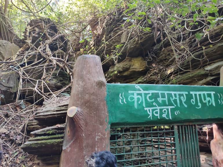 कुटमसार गुफाएं छत्तीसगढ़ - Kutumsar Caves Chattisgarh In Hindi