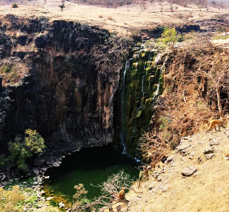 पातालपानी वॉटरफॉल से जुड़े कुछ रोमांचक तथ्य – Some Exciting Facts Related To Patalpani Waterfall In Hindi