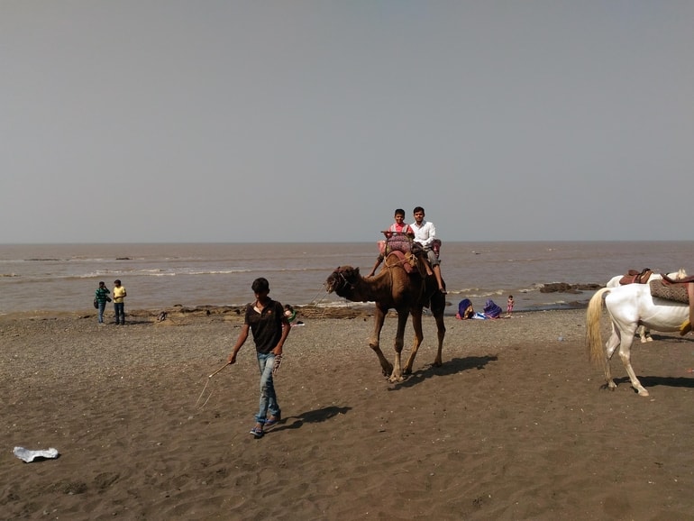 देवका बीच - Devka beach In Hindi