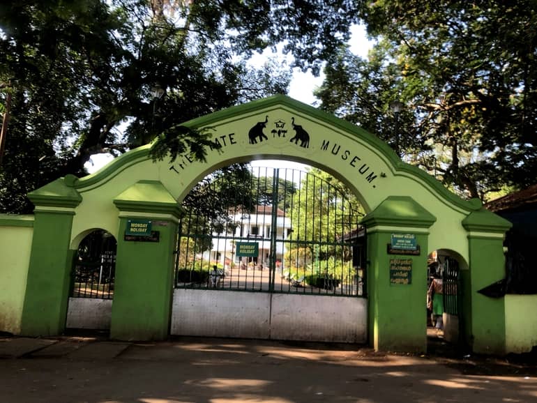 त्रिशूर जू एंड स्टेट म्यूजियम - Thrissur Zoo and State Museum in Hindi