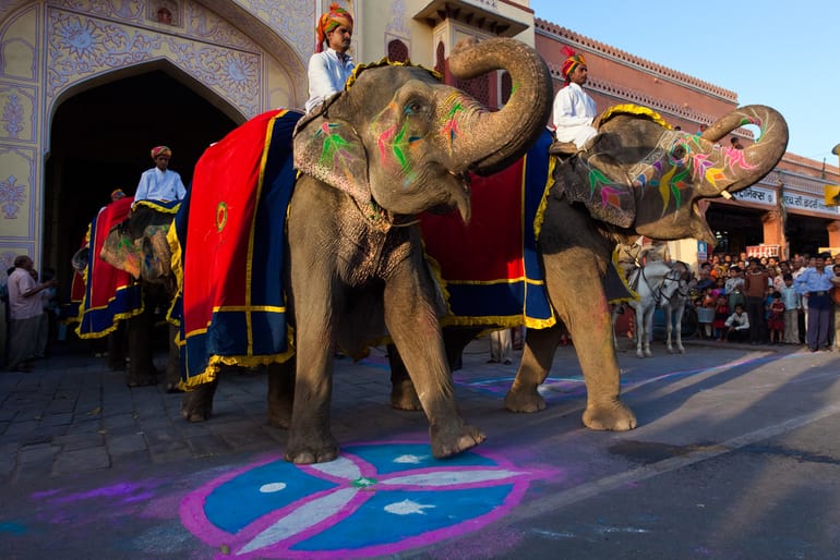 एलीफेंट फेस्टिवल - Elephant Festival In Hindi