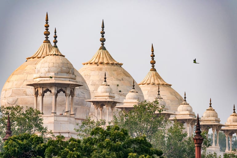 मोती मस्जिद आगरा - Moti Masjid Agra In Hindi