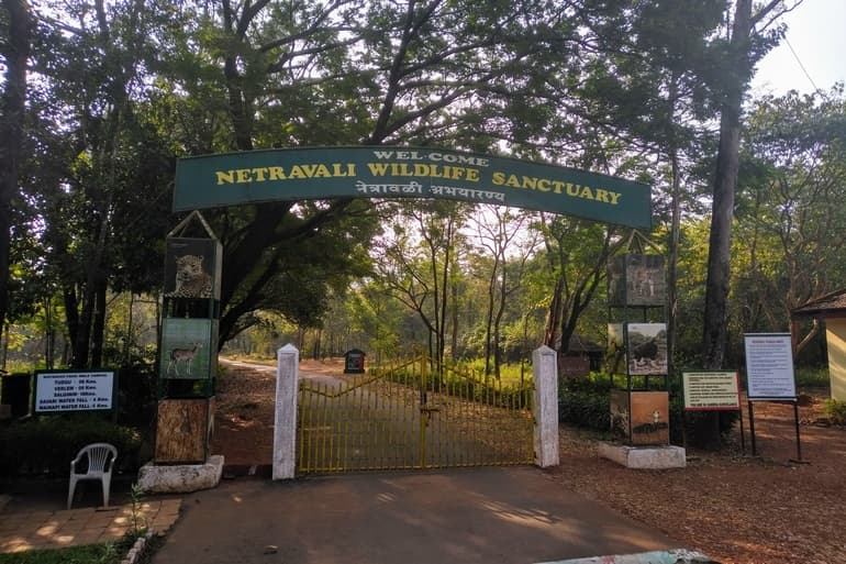 नेत्रावली वन्यजीव अभयारण्य - Netravali Wildlife Sanctuary In Hindi