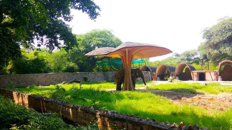 नेशनल जूलॉजिकल पार्क - National Zoological Park In Hindi