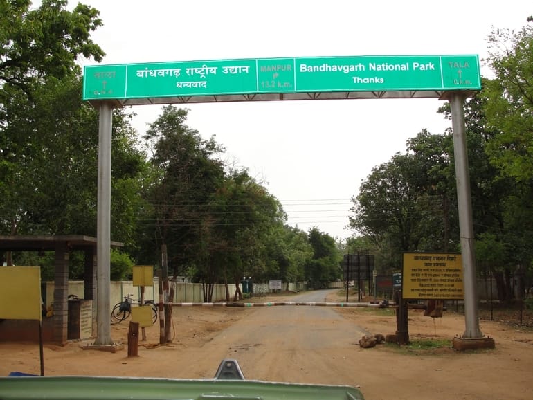 बांधवगढ़ नेशनल पार्क घूमने जाने का बेस्ट समय – Best time to visit Bandhavgarh National Park in Hindi