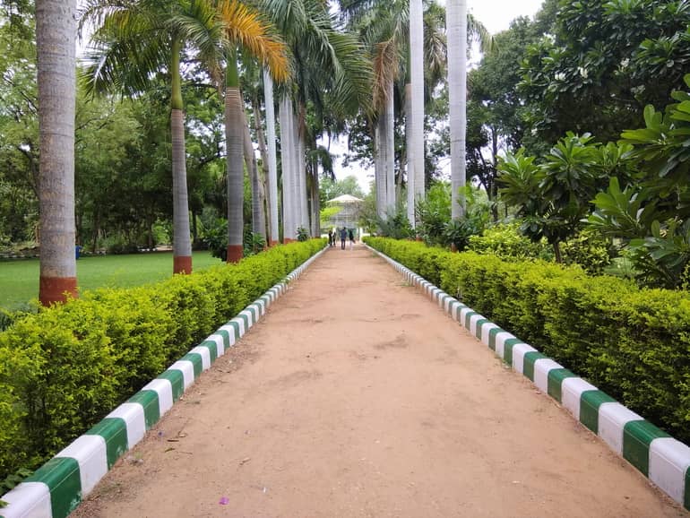 बॉटनिकल गार्डन गांधीनगर – Botanical Garden Gandhinagar in Hindi